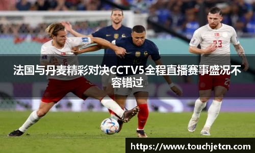 法国与丹麦精彩对决CCTV5全程直播赛事盛况不容错过
